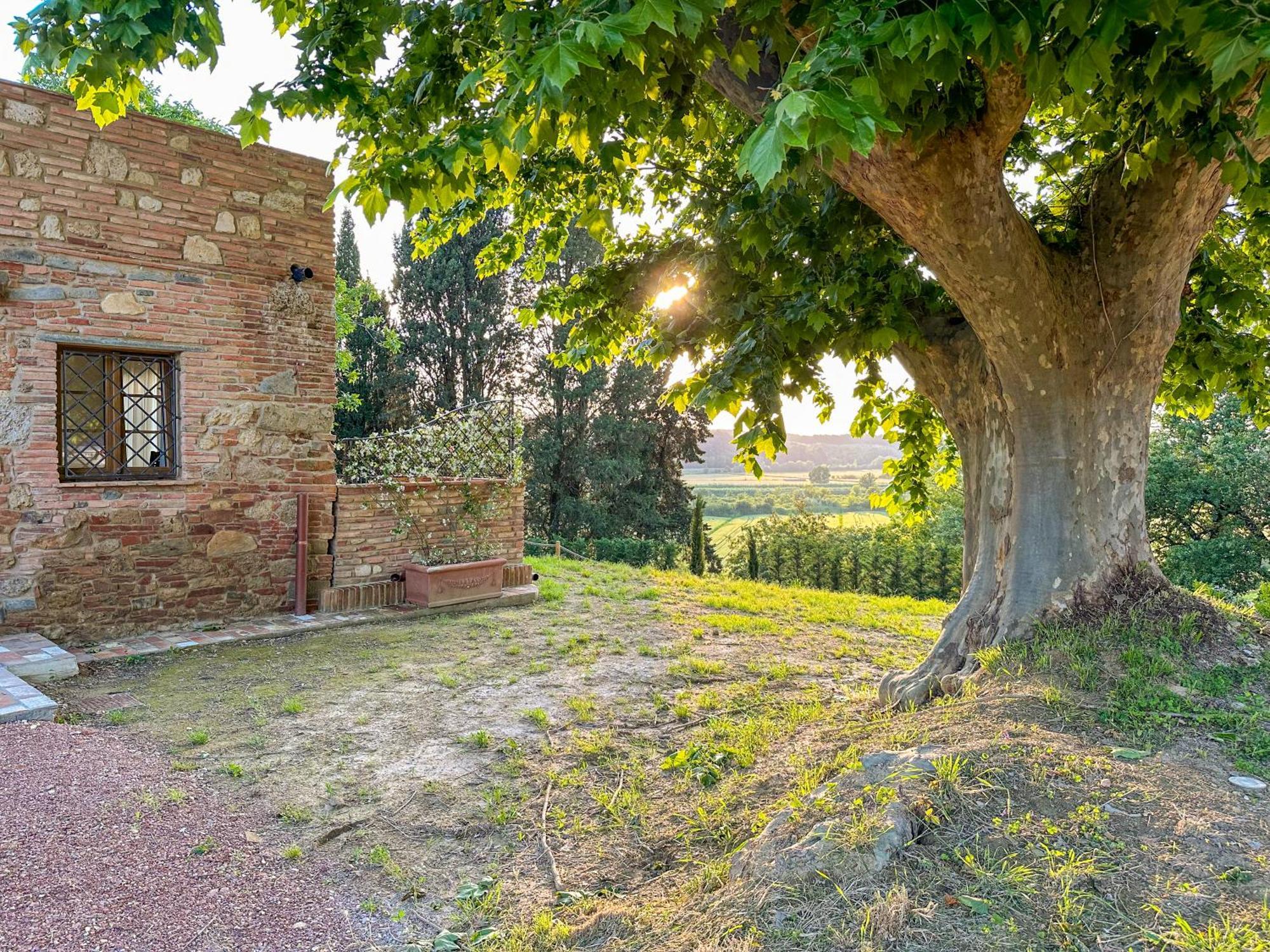 Tenuta I 4 Venti Collesalvetti
